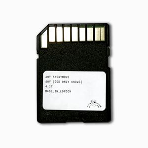 纳西妲的婬肉版小说NRT
