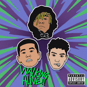 纳西妲的婬肉版小说NRT
