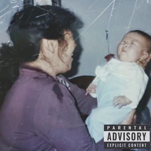 纳西妲的婬肉版小说NRT
