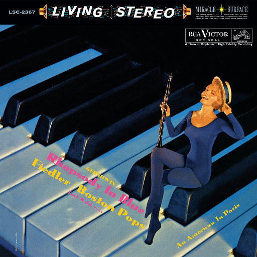 纳西妲的婬肉版小说NRT
