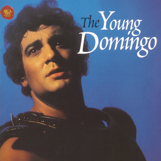 纳西妲的婬肉版小说NRT
